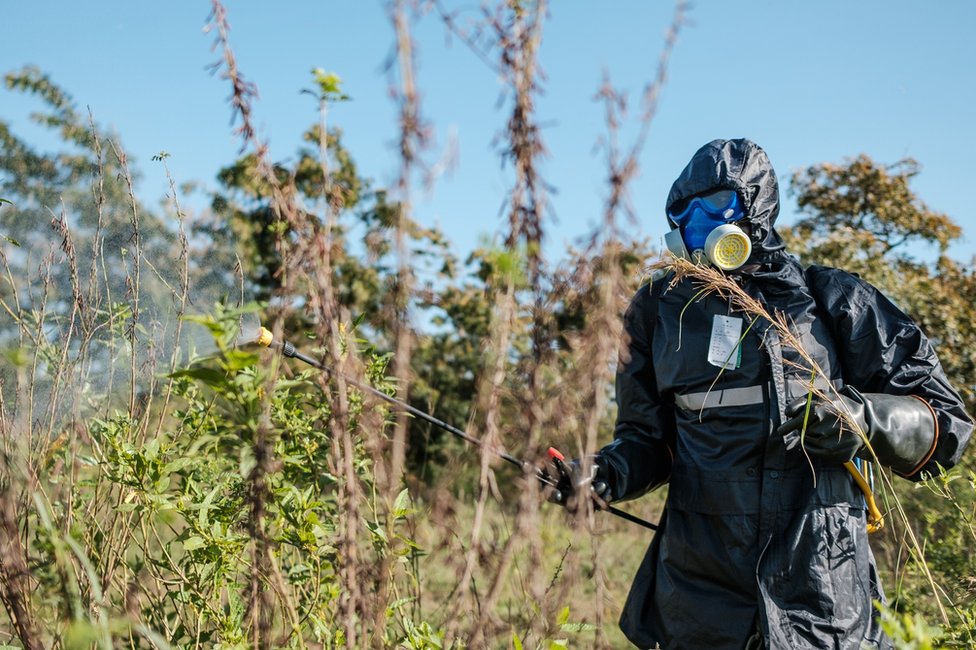 Солдат опрыскивает растения инсектицидами
