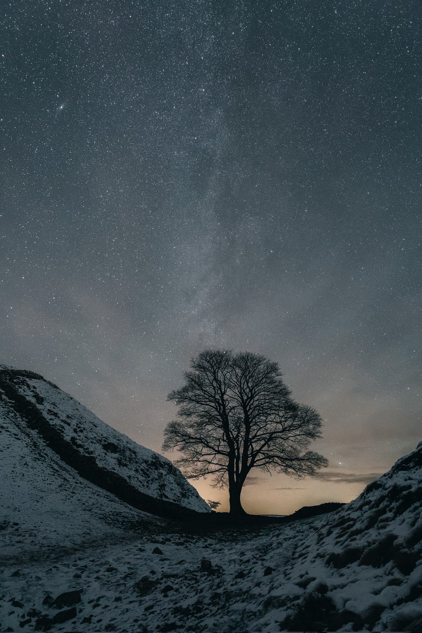 The Sycamore Gap tree without leaves with snow lying on the ground and stars in the sky