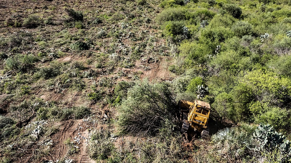 Desforestación en el Chaco seco de Argentina. Un tractor con cadenas arrastra y destruye toda la vegetación.