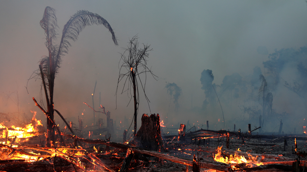 Incendio en la Amazonia