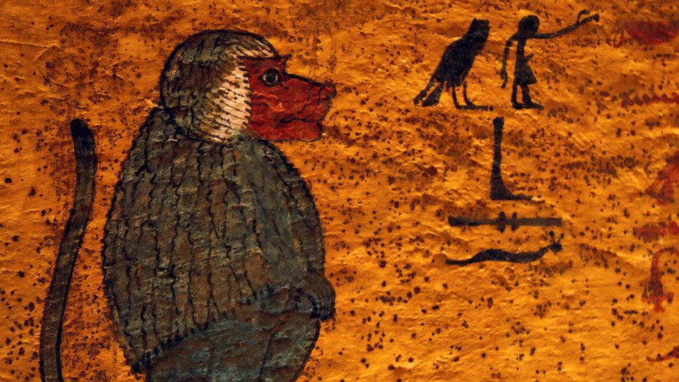 Картина павиана внутри недавно отреставрированной гробницы царя Тутанхамона в Долине царей, Египет (31 января 2019 г.)