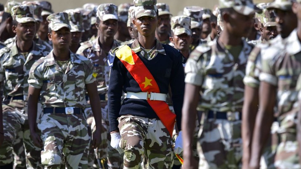 Members of the Tigray region special police force parade in February 2020