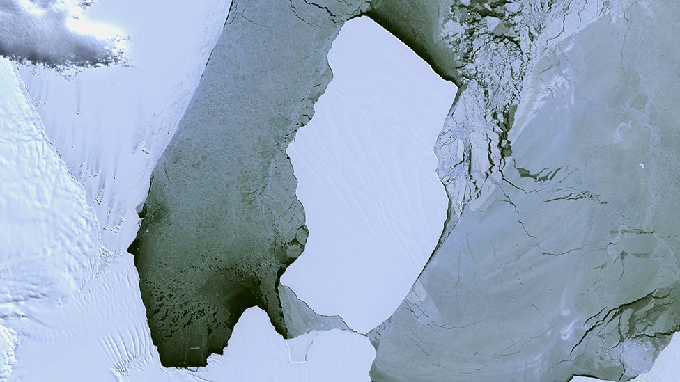 Моляр Берг - самая большая ледяная глыба, оторвавшаяся от Эймери за более чем 50 лет