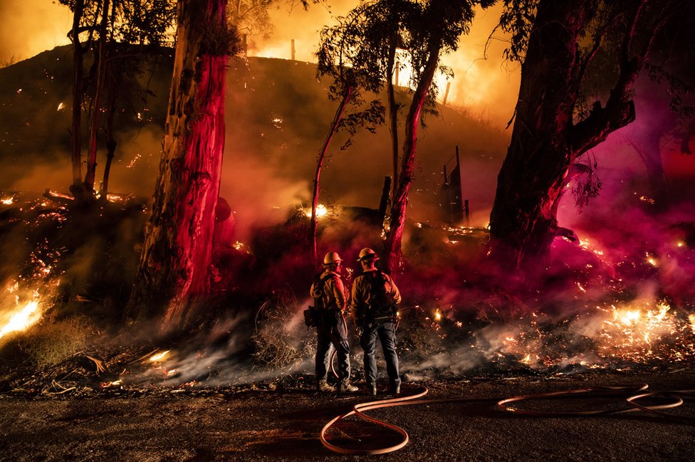 Firefighters work at containing the Maria fire spreading in the hills near Ventura, north-west of Los Angeles, California