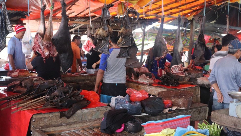 Murciélagos y otras especies silvestres en venta en un mercado en Indonesia.