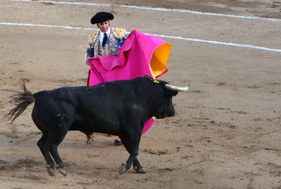 Бой быков в Испании