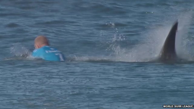 Surfer Mick Fanning in water with shark behind