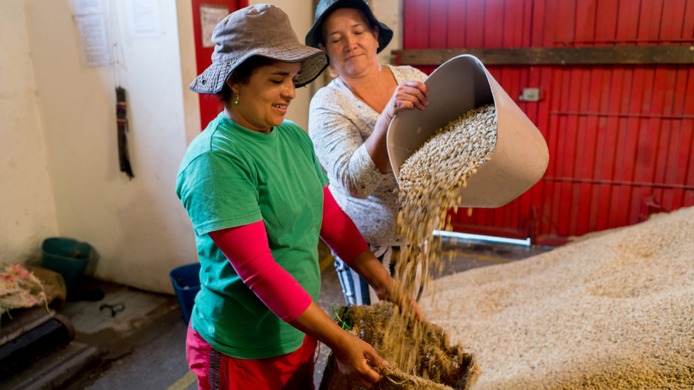 Mujeres trabajando con granos de café en Colombia