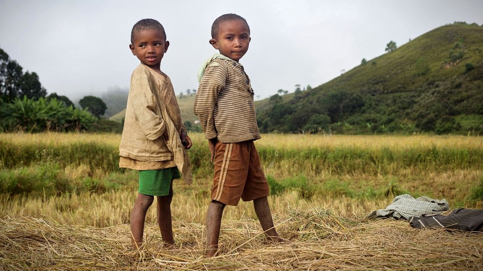 Мальчики на рисовом поле Мадагаскара