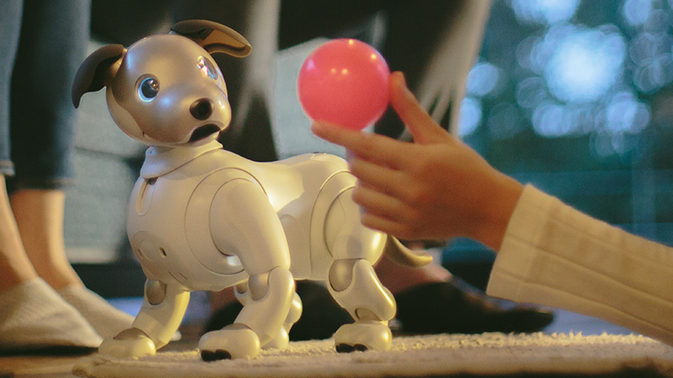 robot dog aibo