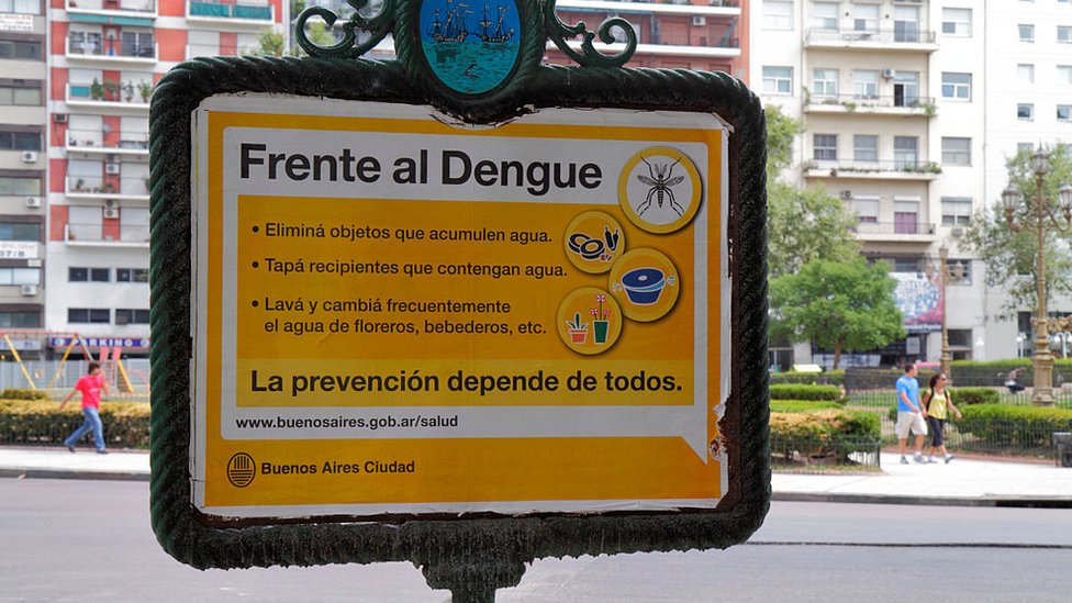 CArtel sobre el dengue