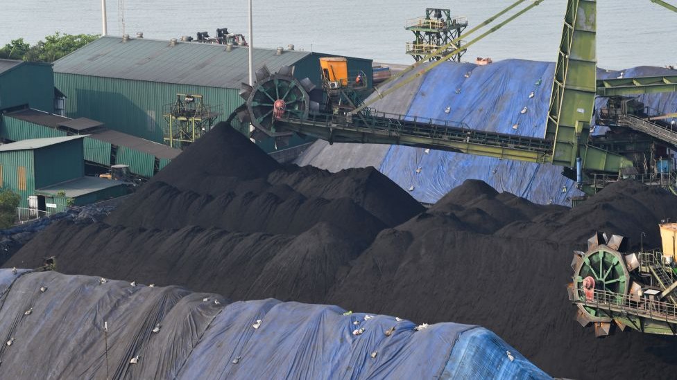 A shipment of coal is unloaded from a cargo vessel at the Mormugao Port Trust in Goa.