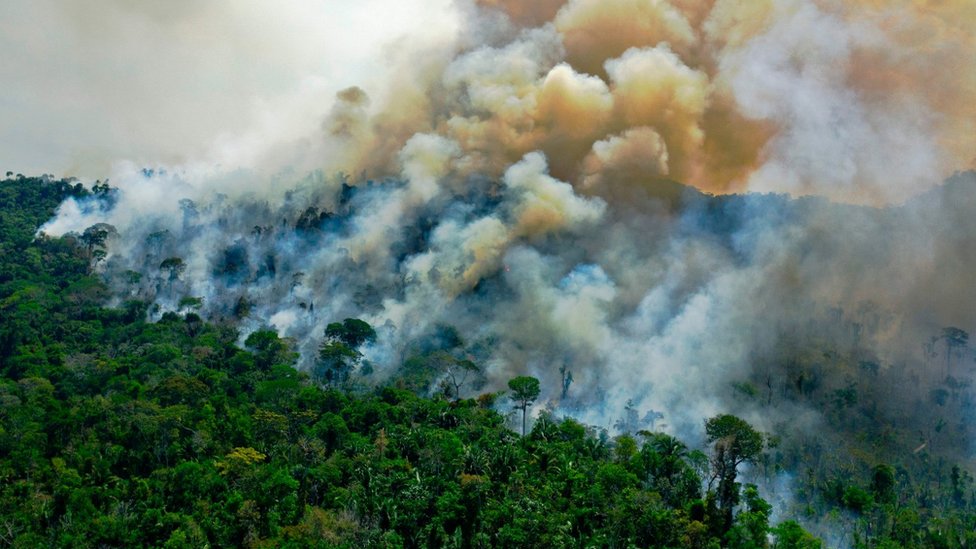 An area of the Amazon burning