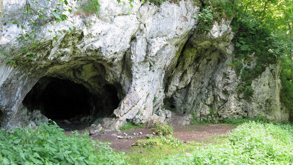 La cueva Stadel está en los acantilados de Hohlenstein donde la piedra caliza se ahueca naturalmente. Stadel tiene una gran importancia paleontológica y arqueológica. (Foto de Thilo Parg / Wikimedia Commons. Licencia: CC BY-SA 3.0) Cueva Stadel vista desde fuera