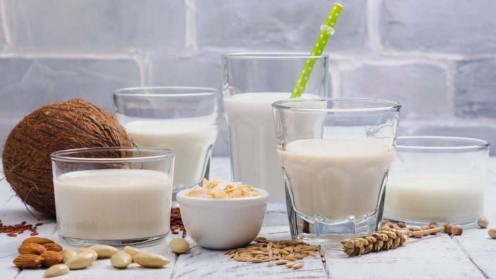 Выбор молока на растительной основе