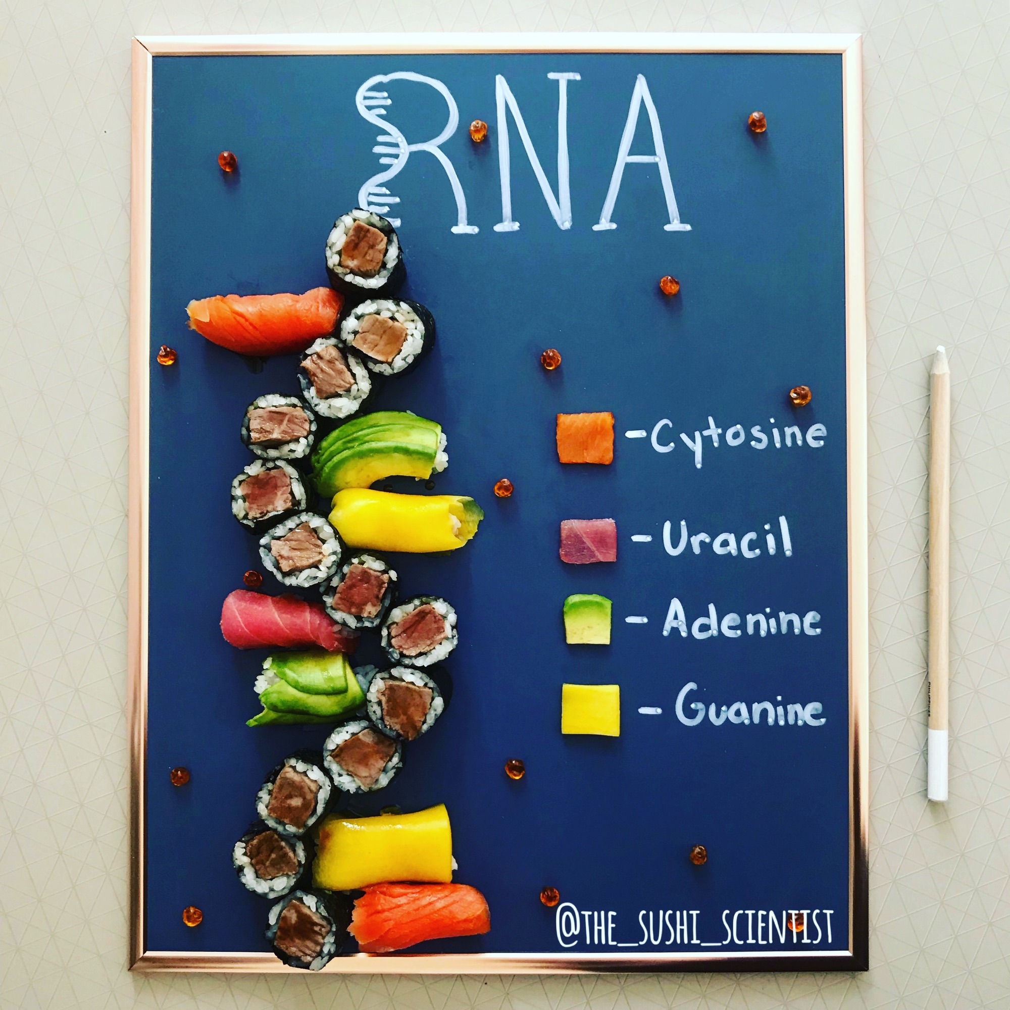 Ilustración de ARN hecha con sushi