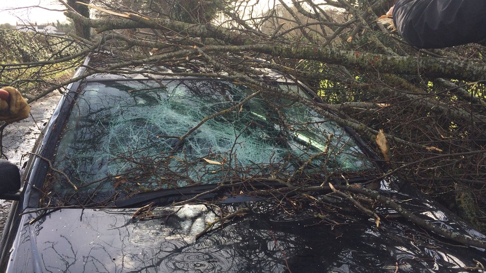 Дерево повредило машину оператора Яна Фрисвелла во время съемок в Гресфорде, Рексхэм