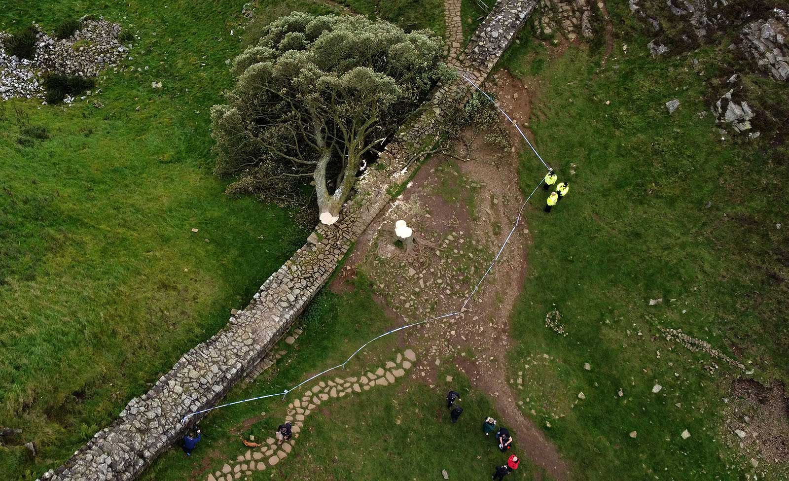 An aerial view shows the felled Sycamore Gap tree, along Hadrian's Wall, near Hexham, northern England