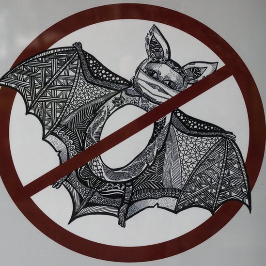Imagen de un murciélago con tapaboca.