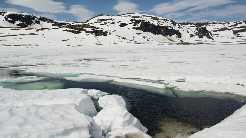 ¿Una zambullida? Hueco en el hielo de lago helado