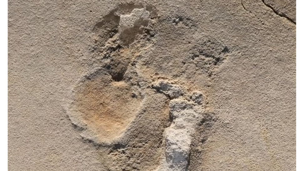 Image of one of the Trachilos footprints