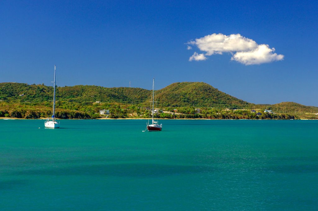 Imagen de la playa en Vieques, Puerto Rico.