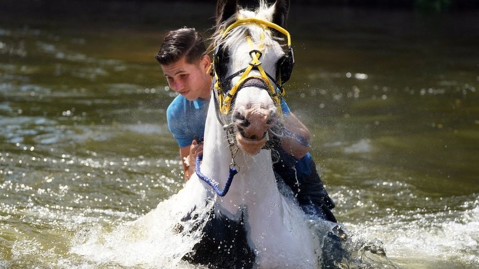 Appleby Horse Fair: Thousands enjoy event amid high temperatures