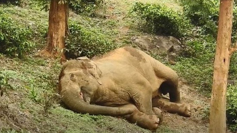 Ganesan sleeping along the roadside