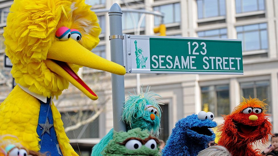 Sesame Street Characters Cookie,Oscar,BigBird,Elmo Top Quality kidsXS2-4-XL18-20 