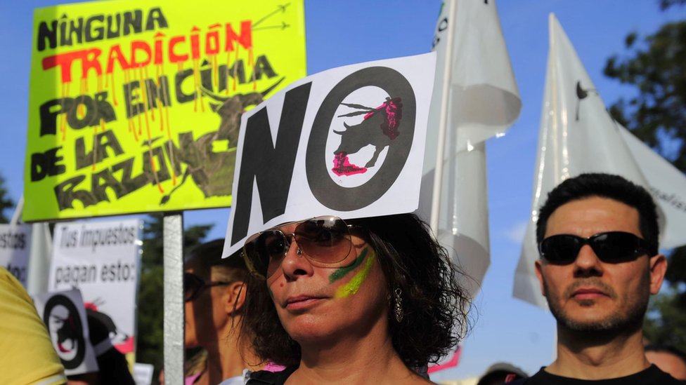 Женщина с плакатом на лбу с надписью «Коррида запрещена» вместе с тысячами людей участвует в демонстрации против корриды в Испании, в Мадриде