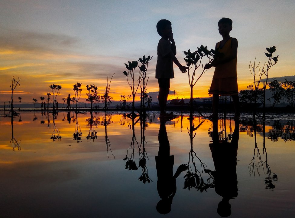 A silhouette of two children standing amongst mangrove saplings as the sun sets in the Philippines