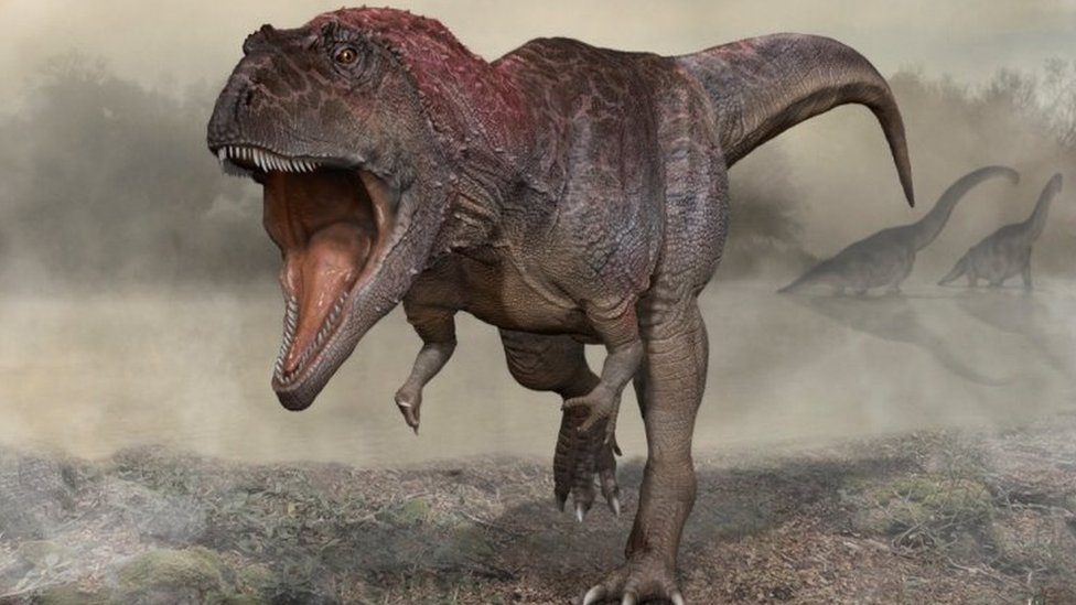 Dinosaurs: Why did 'T. rex' have such tiny arms?, Science