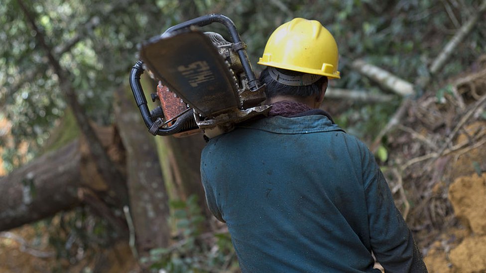 Man with chainsaw in Indonesia