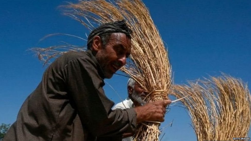 farmer