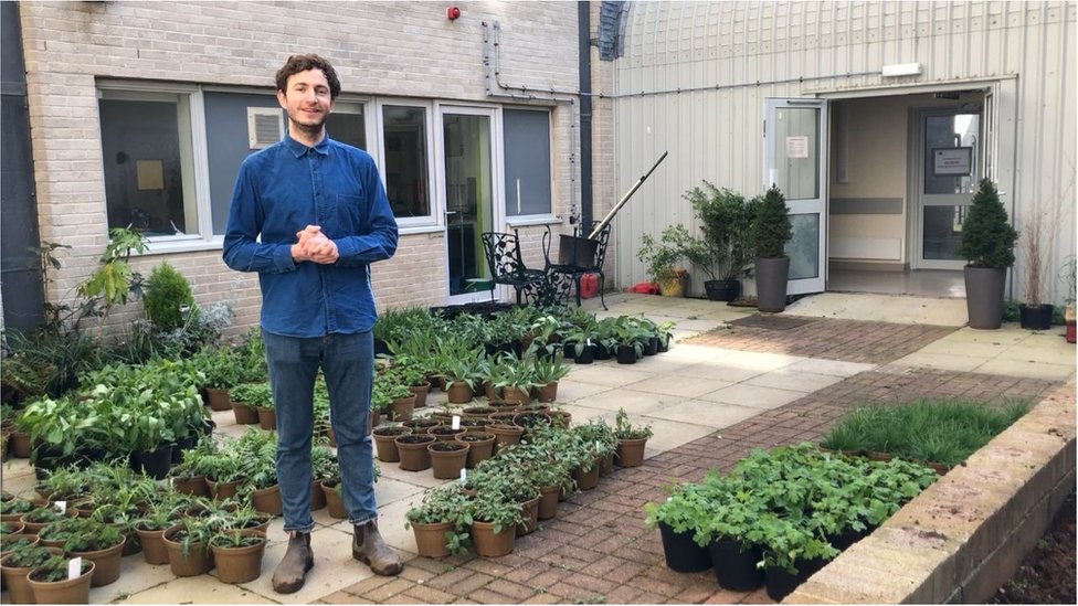Дизайнер сада Том Мэсси с растениями, подаренными больнице Деррифорд в Плимуте