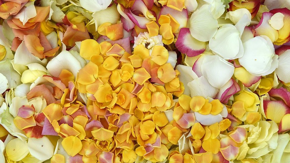 Un niño italiano creó "petaloso" para referirse a algo lleno de pétalos. Pétalos.