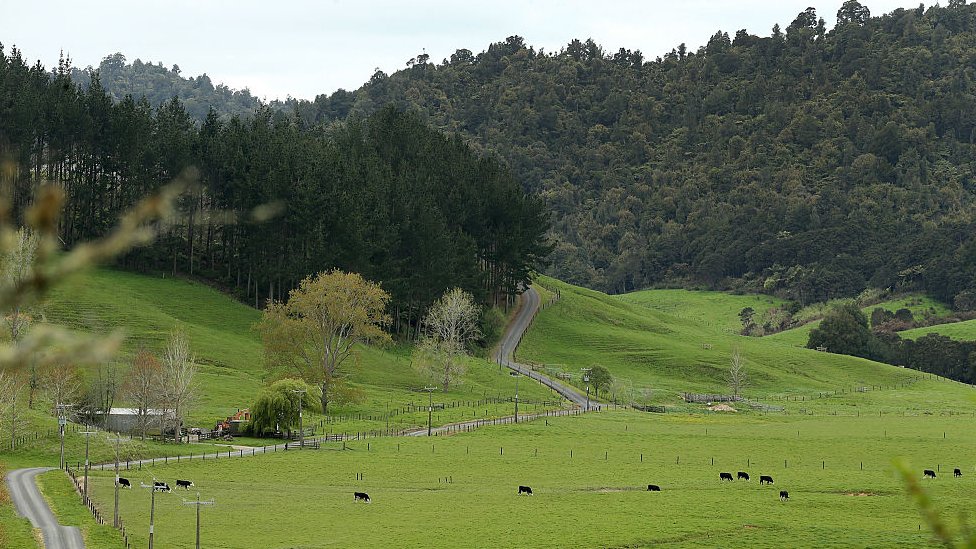 Ферма в Новой Зеландии