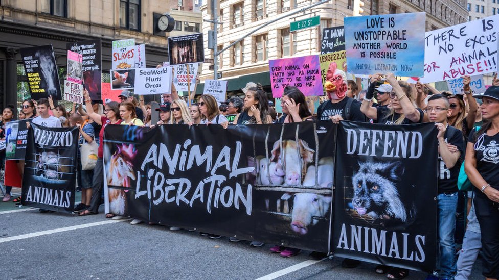 An Animal Liberation demonstration against the fur trade in New York, August 2019.