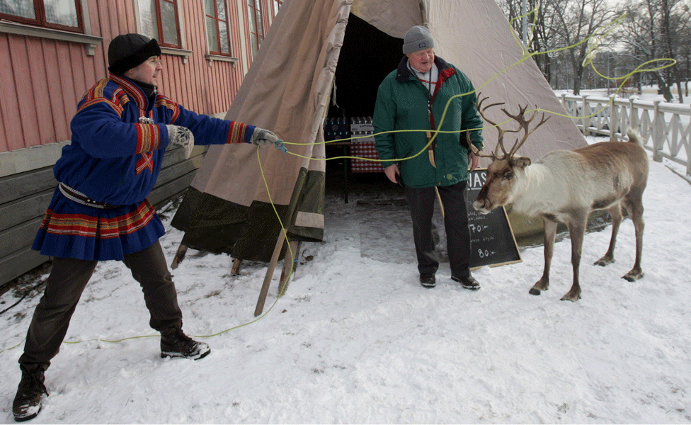 "Hemos sobrevividos miles de años aquí gracias a los renos", cuenta una joven pastora. Hombre sami arreando un reno
