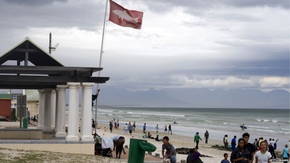 Флаг повышенной опасности для акул возле Кейптауна