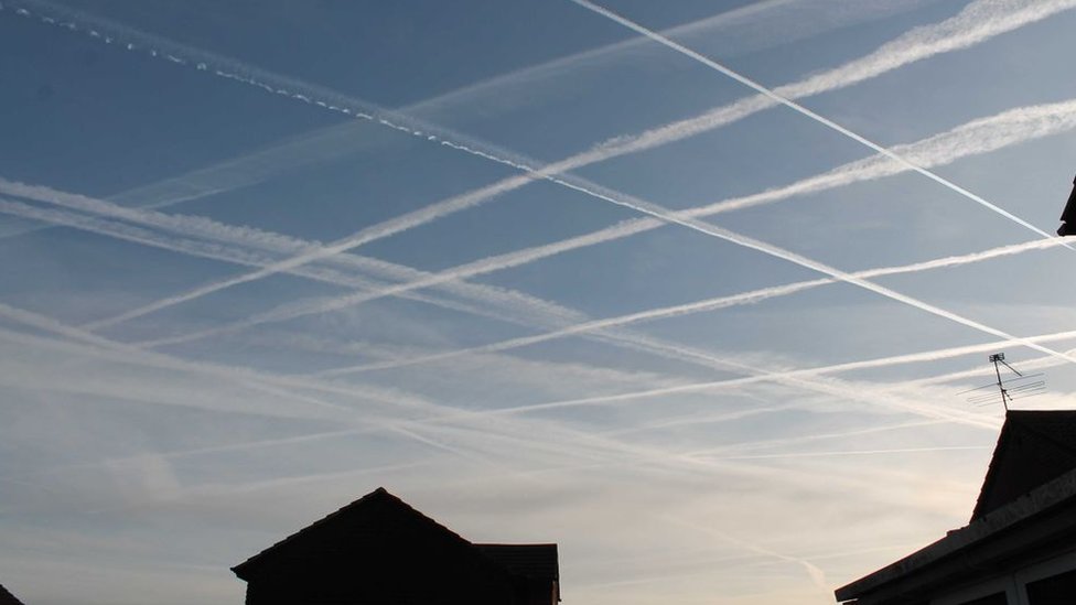 Homomutatus. Homomutatus.