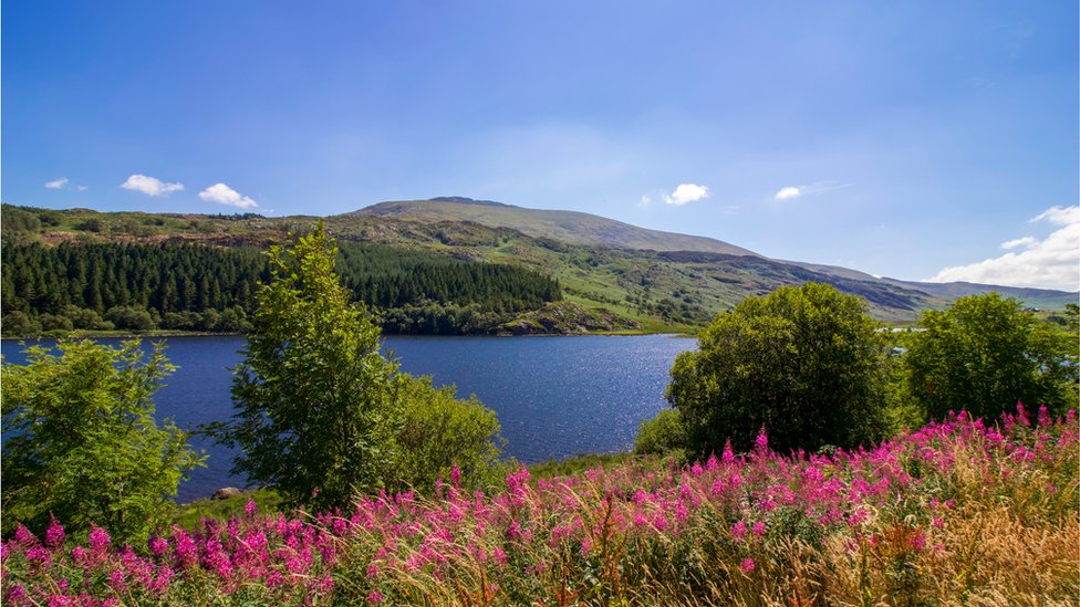 Welsh single farm payment scheme
