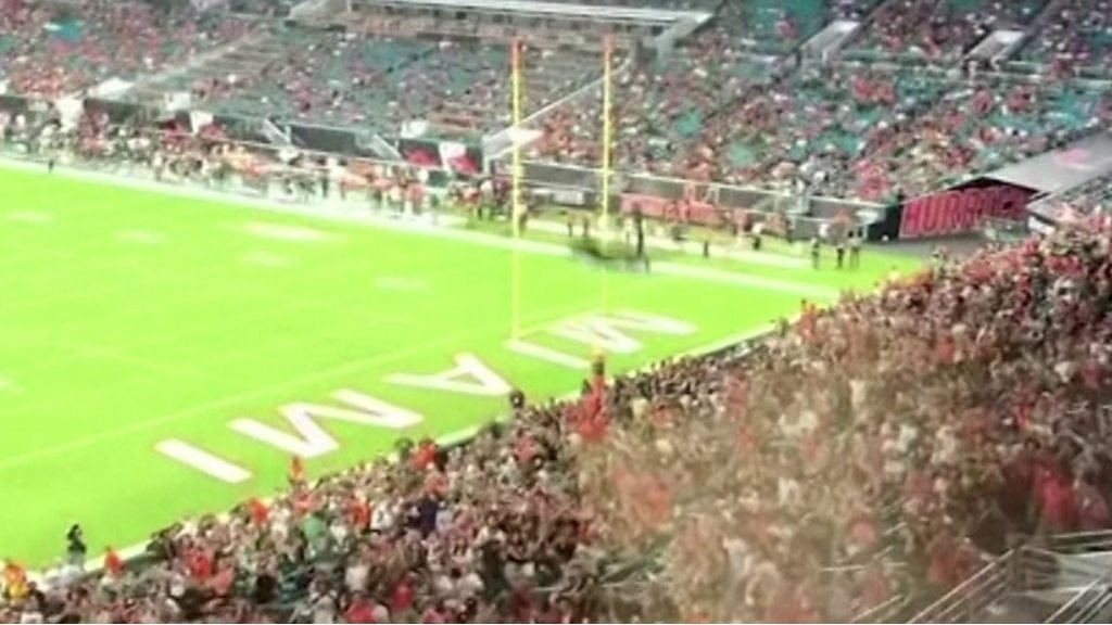 Match crowd catches falling cat in a flag