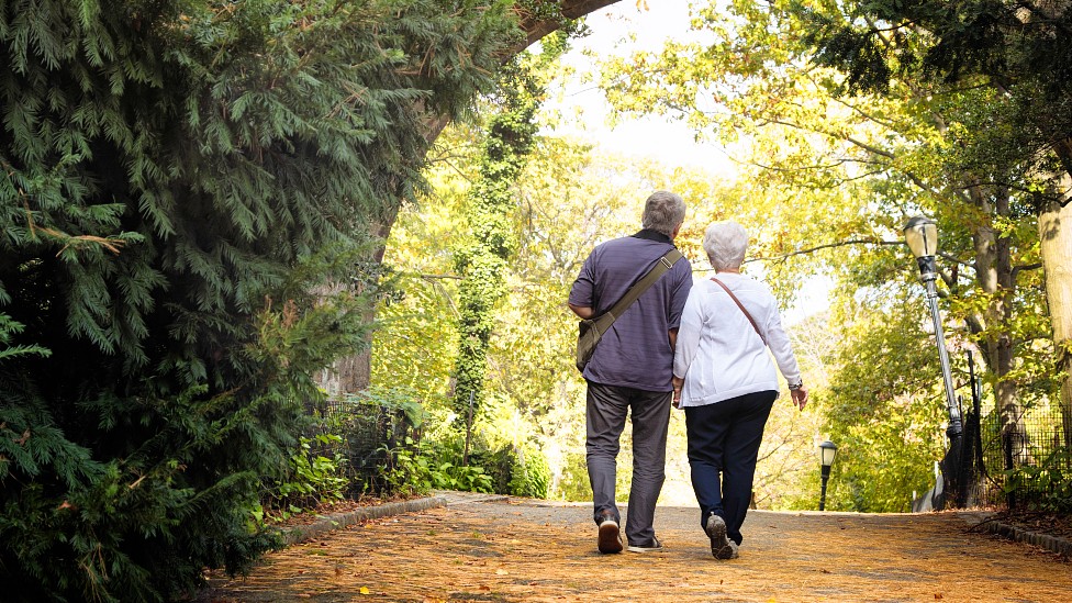 Seniors couple walking in a park