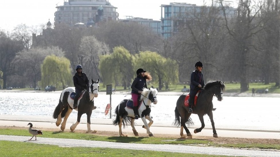 Люди катаются на лошадях в Гайд-парке