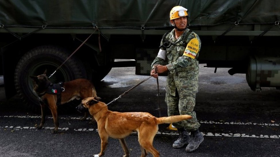 Los efectivos caninos suelen trabajar siempre con el mismo guía para reforzar la confianza entre ambos. Un soldado mexicano con dos perros de rescate en Ciudad de México.