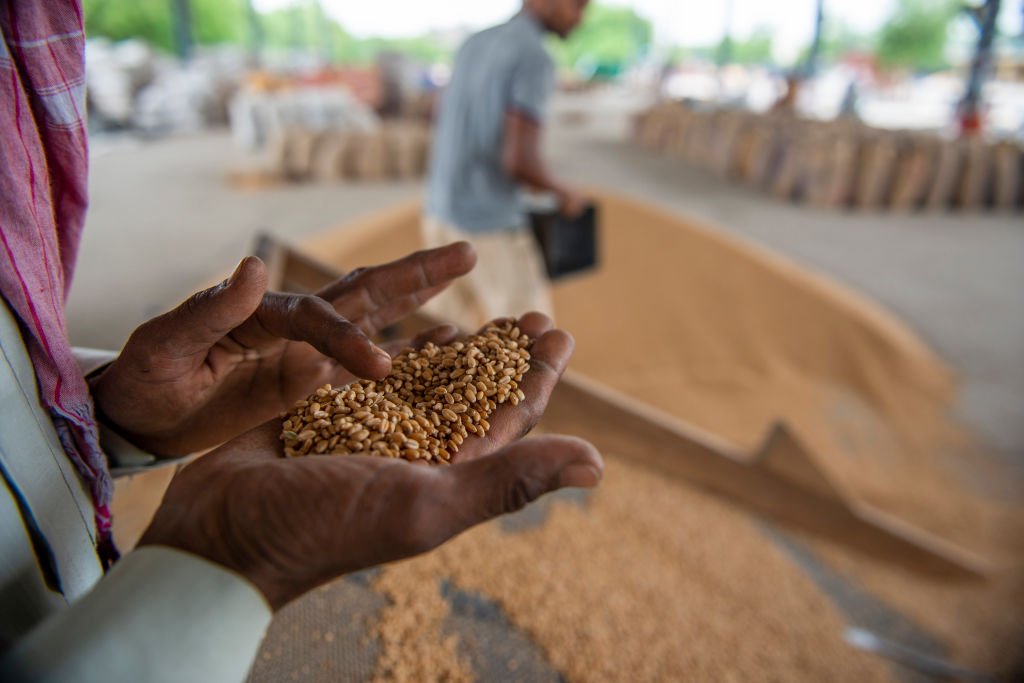 India prohíbe las exportaciones de trigo