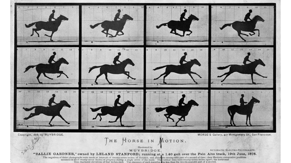 Životinje su na filmu prisutne još od 1878. i Konja u pokretu Edvarda Majbridža