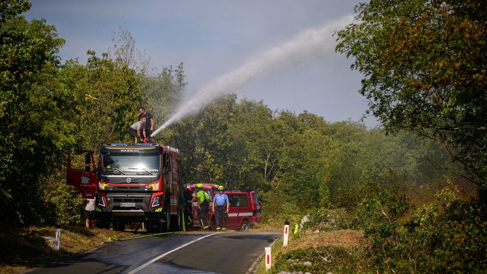 A fire engine sprays water on a forest fire.