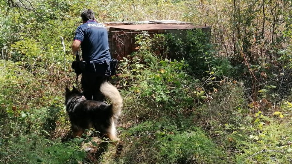Полиция обыскивала лесной район Каронии на Сицилии более двух недель